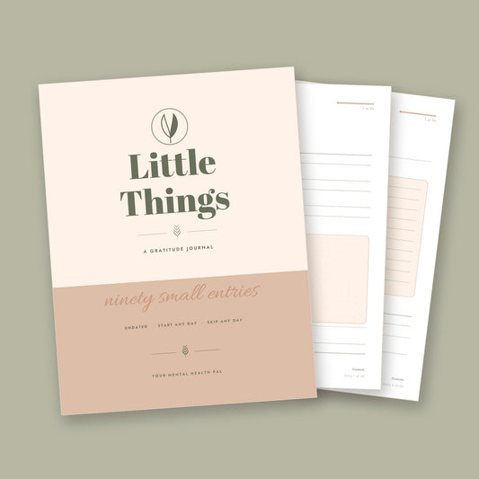 Little Things Gratitude Journal cover, ninety small entries, with inside pages behind it