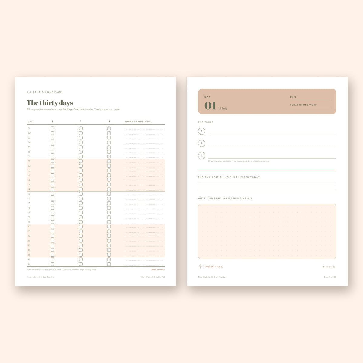 Two Tiny Habits pages: the thirty days at a glance and a daily check-in page