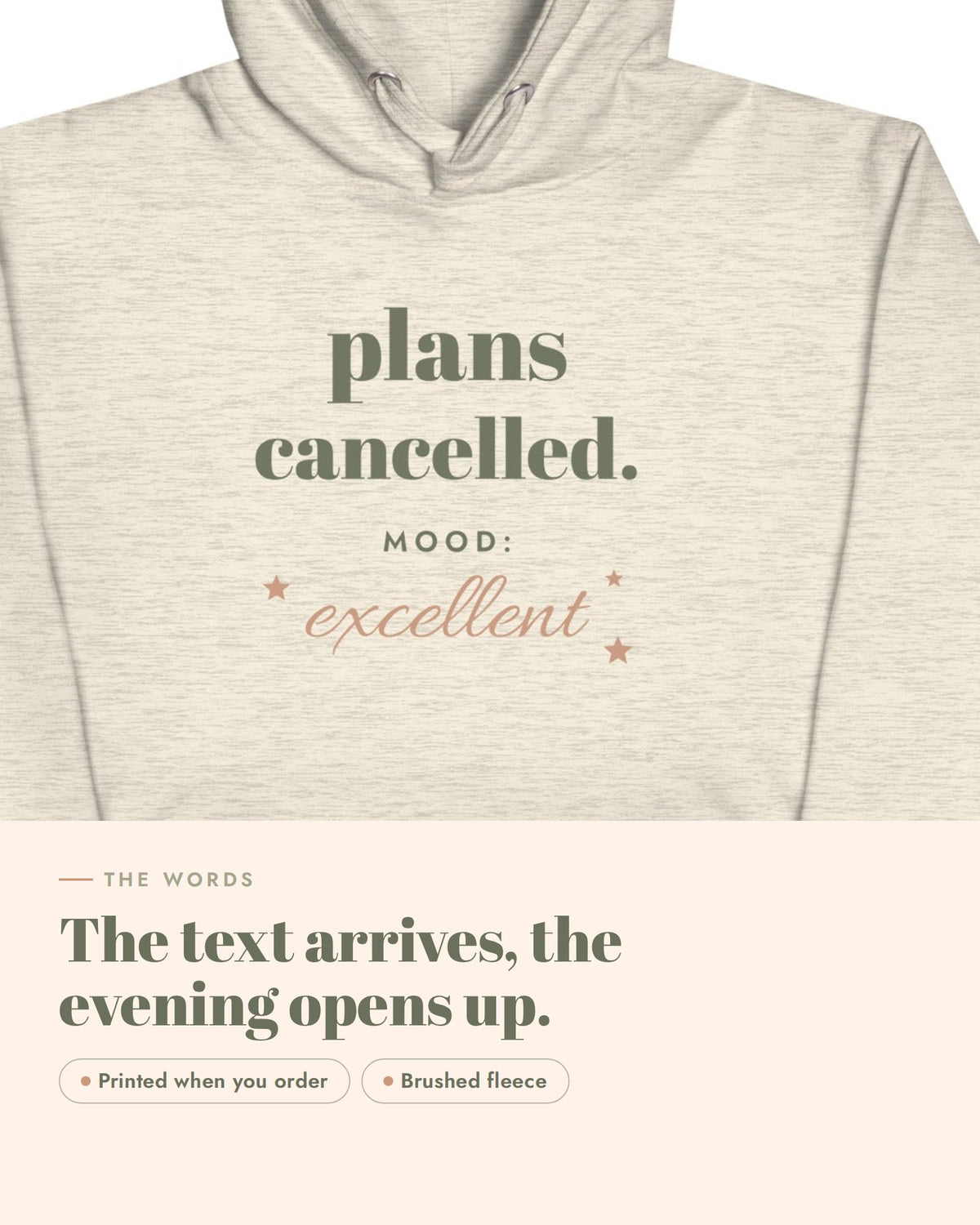 Plans Cancelled Hoodie, the design up close