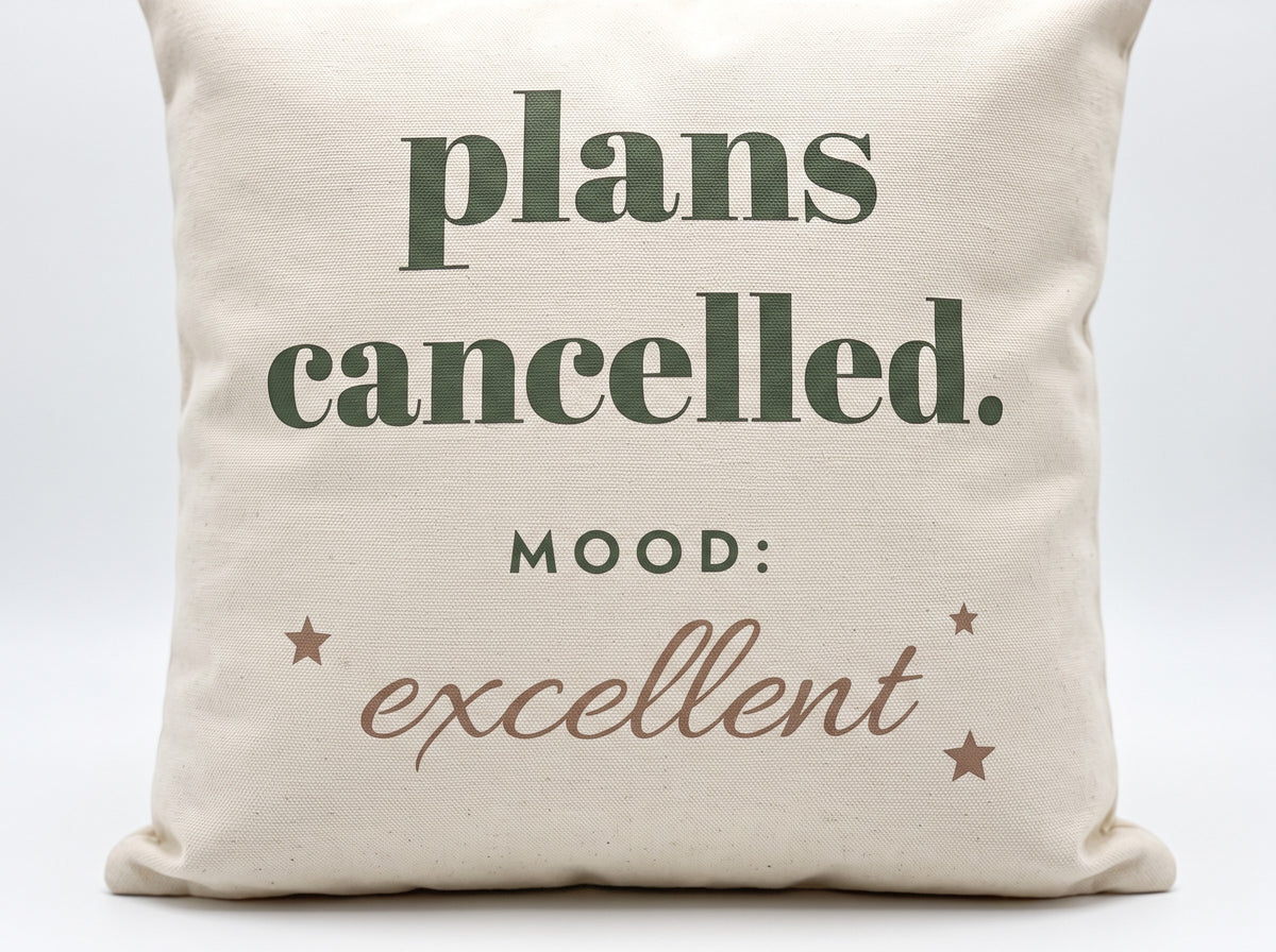 Plans Cancelled Pillow, the print up close