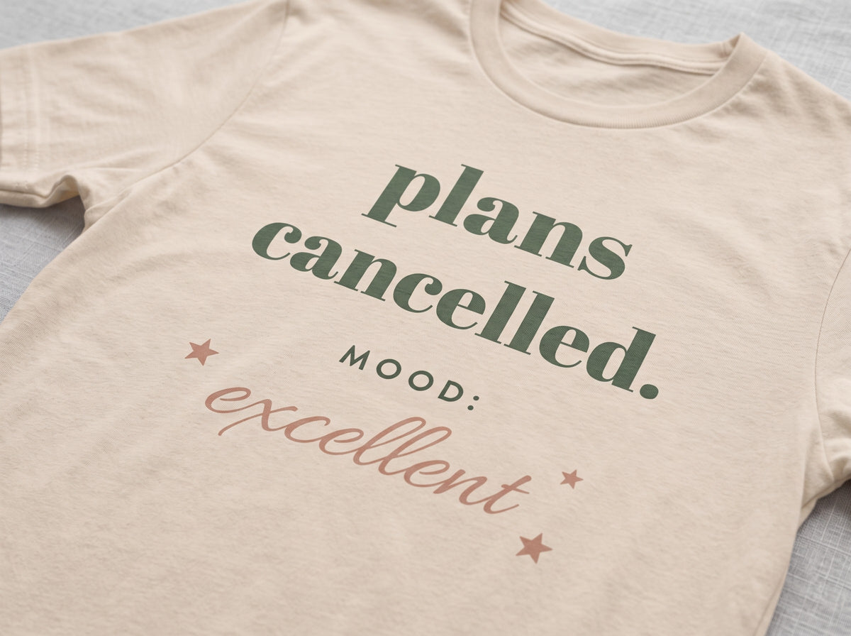 Plans Cancelled Tee, the print up close