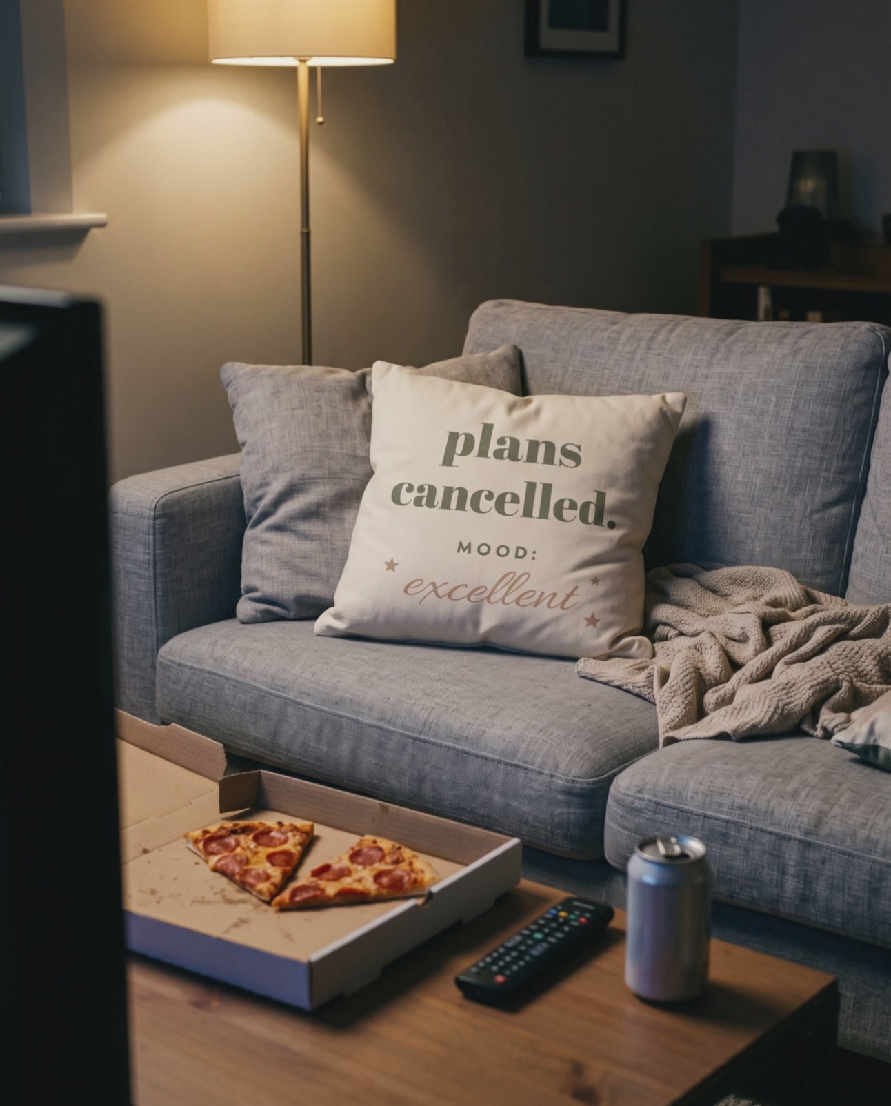 Plans Cancelled Pillow, a short clip of a pizza night in on the sofa