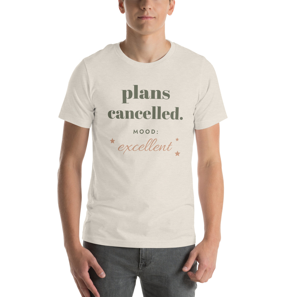Plans Cancelled Tee in Heather Dust, worn by a model, front print: plans cancelled, mood: excellent
